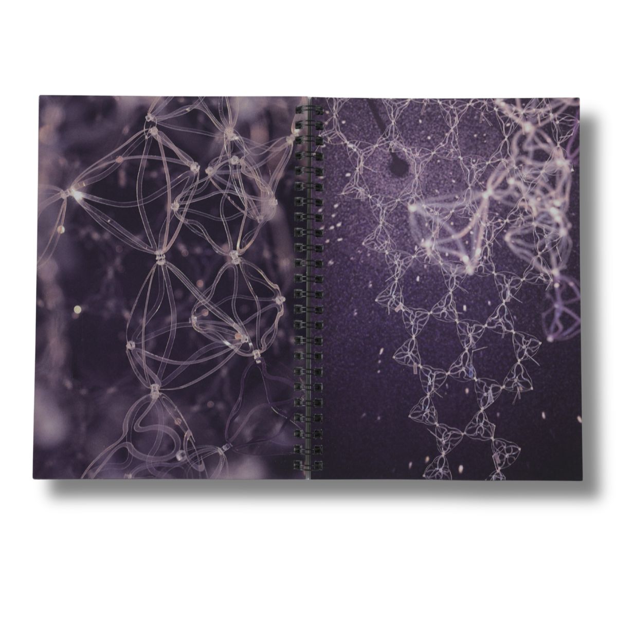 „crystalline – amorphous – crystalline“ – Bild 4